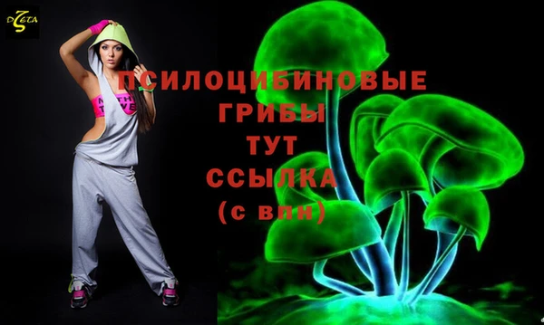 индика Билибино