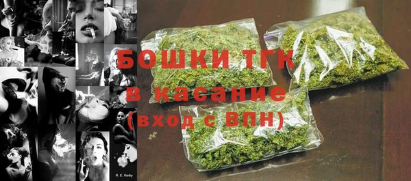 индика Билибино